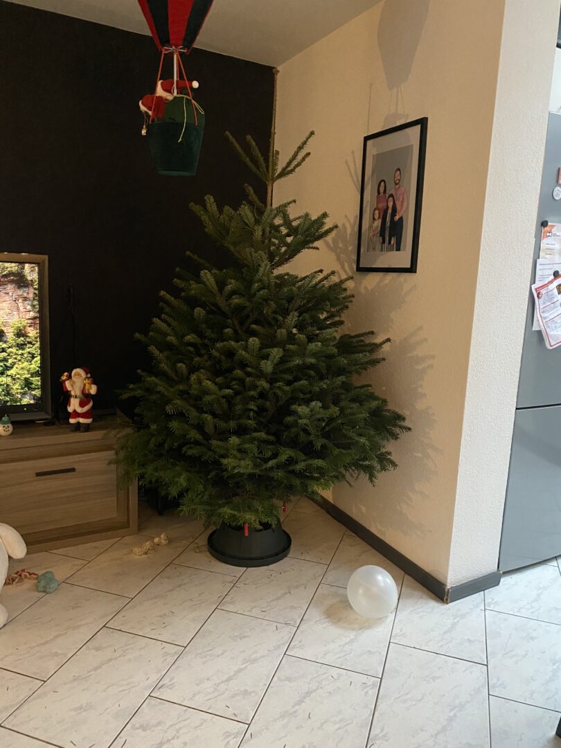 Kerstboom kopen en versieren
