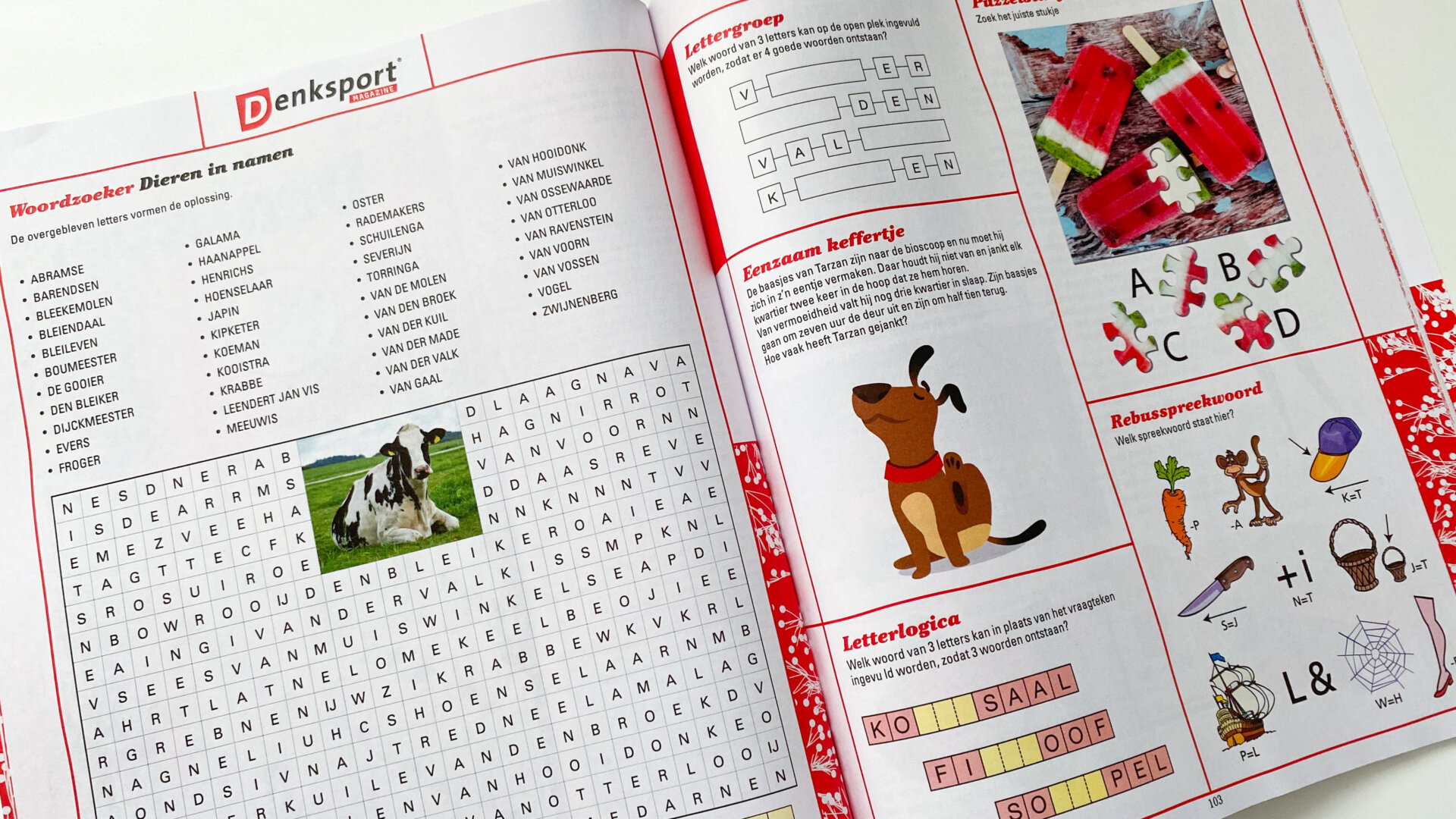 denksport magazine woordzoeker